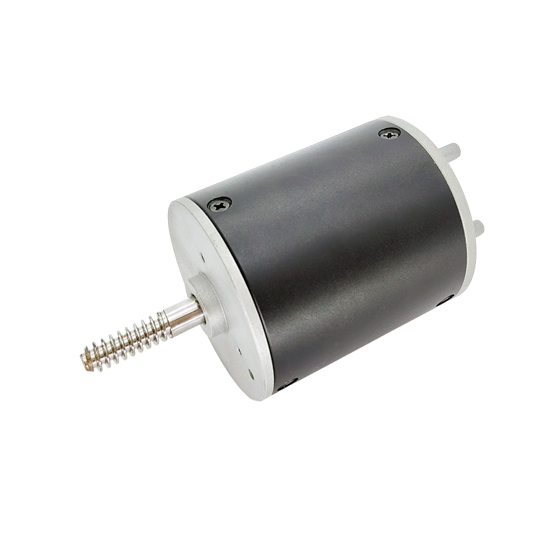 24V 36V BL6070 कॉफी मशीनों और बीन ग्राइंडर के लिए ब्रशलेस मोटर